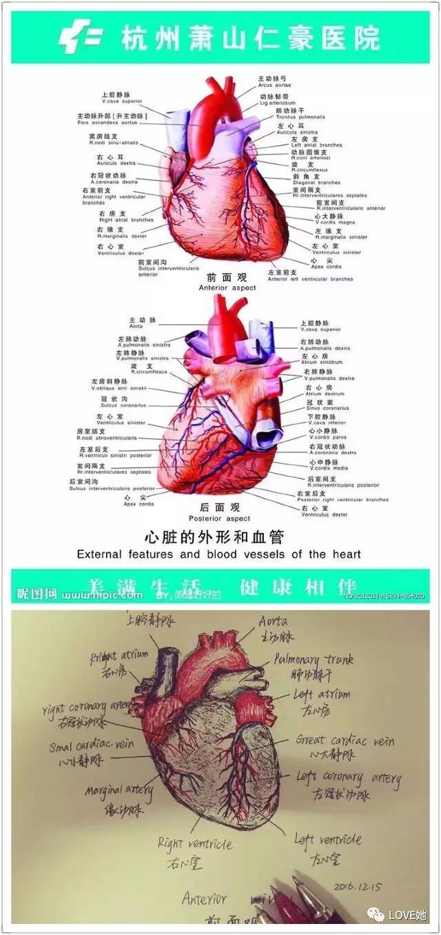 澳门新葡澳京官网