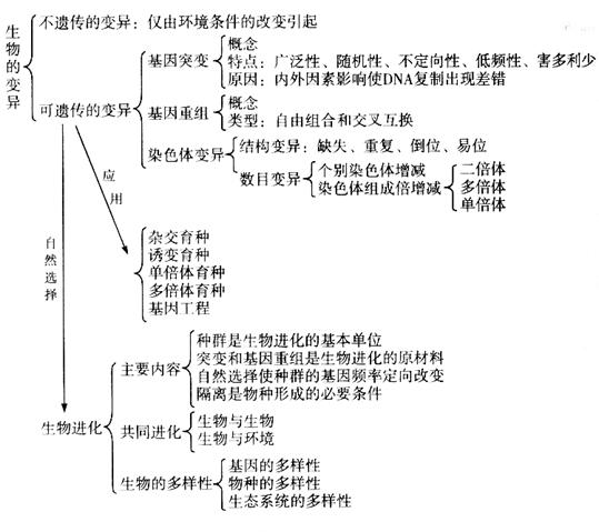 新澳门新葡萄娱乐